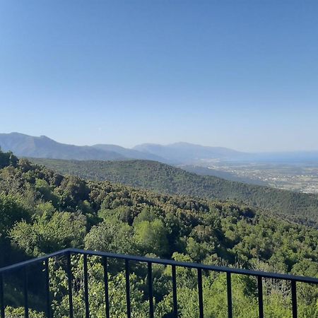 Gite La Fontaine Corse Loreto-di-Casinca Pokój zdjęcie