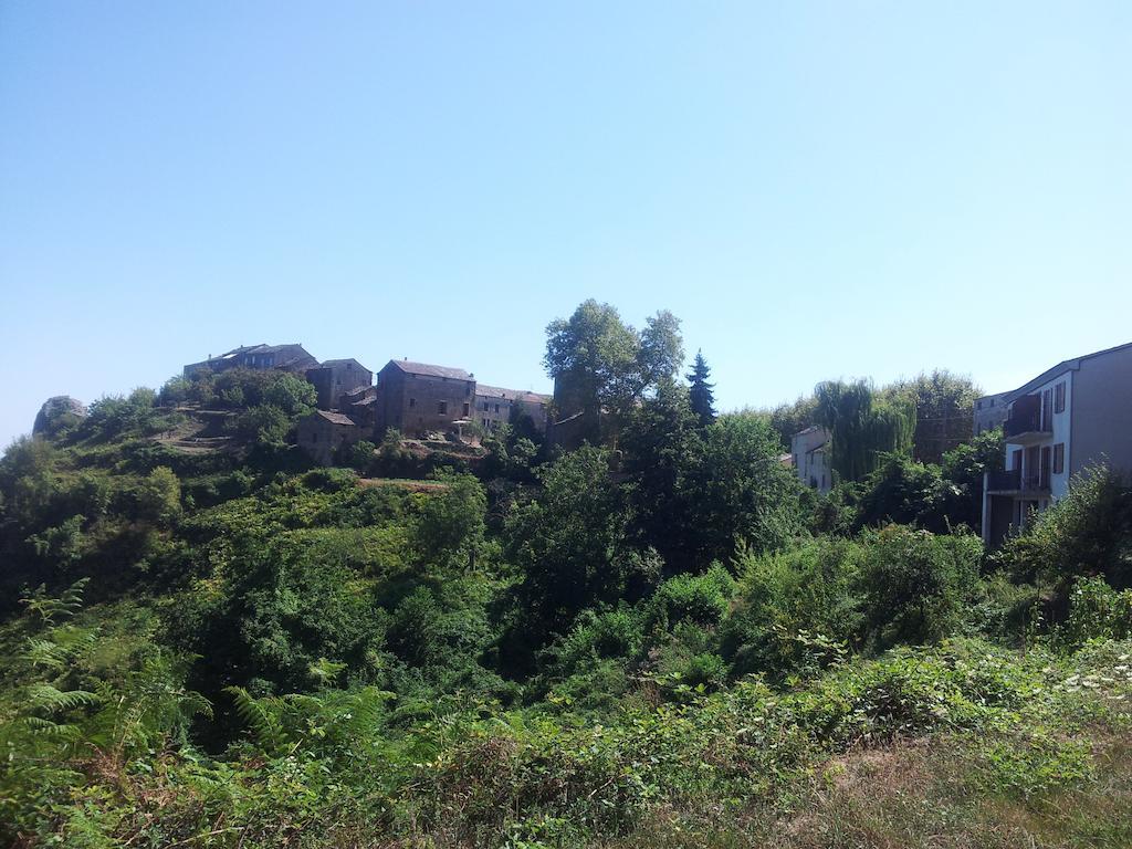 Gite La Fontaine Corse Loreto-di-Casinca Pokój zdjęcie