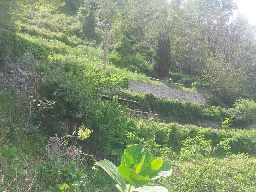 Gite La Fontaine Corse Loreto-di-Casinca Pokój zdjęcie
