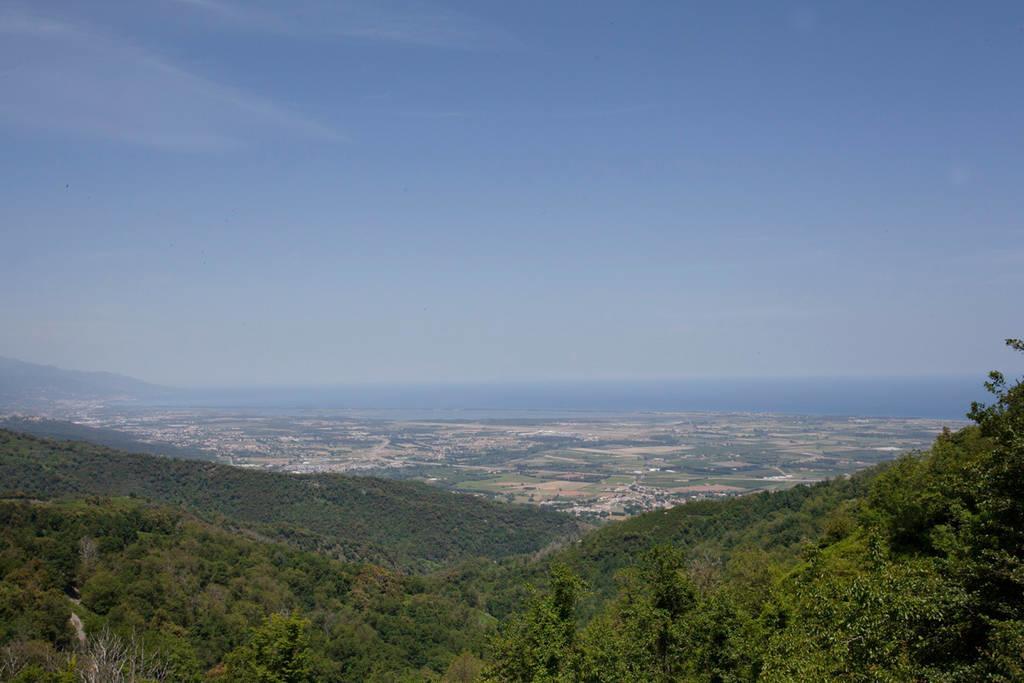 Gite La Fontaine Corse Loreto-di-Casinca Pokój zdjęcie