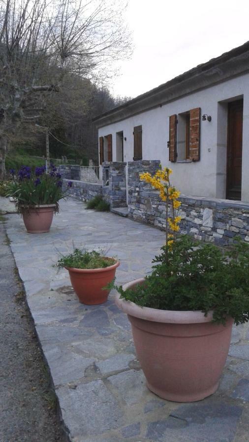 Gite La Fontaine Corse Loreto-di-Casinca Zewnętrze zdjęcie